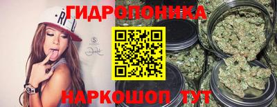 гашик Балашиха
