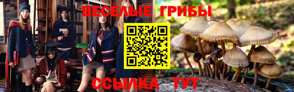 Псилоцибиновые грибы прущие грибы  Псилоцибиновые грибы мухоморы  Воскресенск 